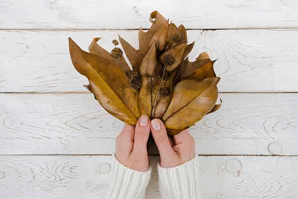 Feuilles en main